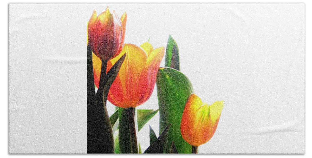 Orange Tulips Bath Towel featuring the photograph Spring Shine by Angela Davies
