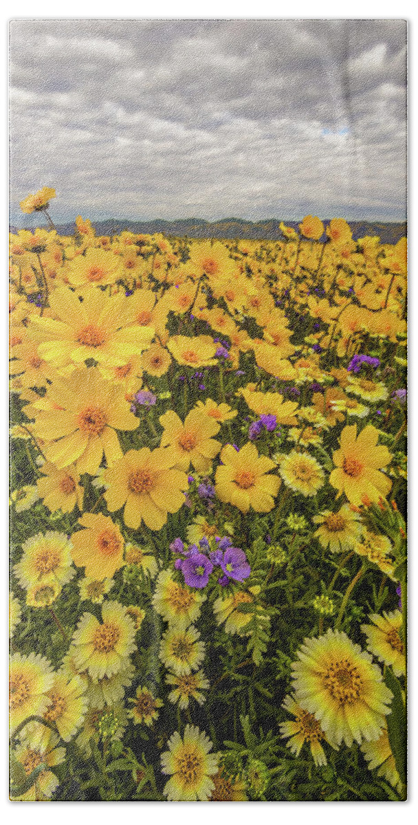 Blm Hand Towel featuring the photograph Spring Super Bloom by Peter Tellone