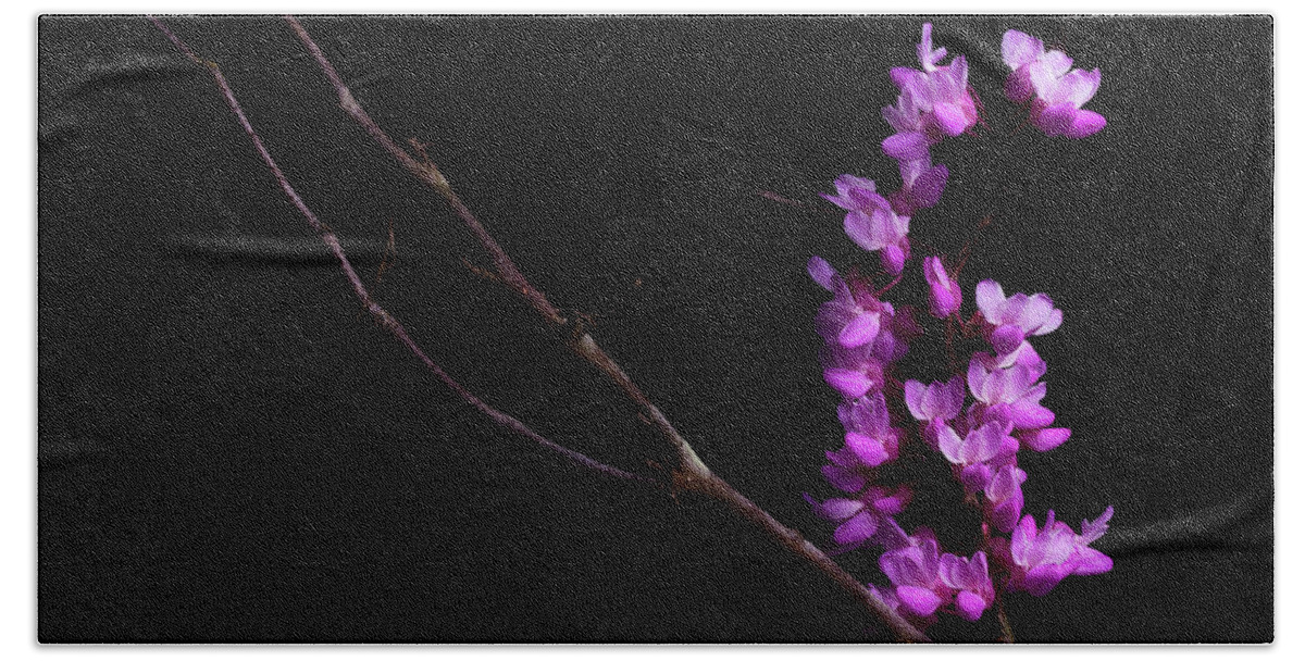 Redbud Bath Towel featuring the photograph Spring Time 4 by Mike Eingle