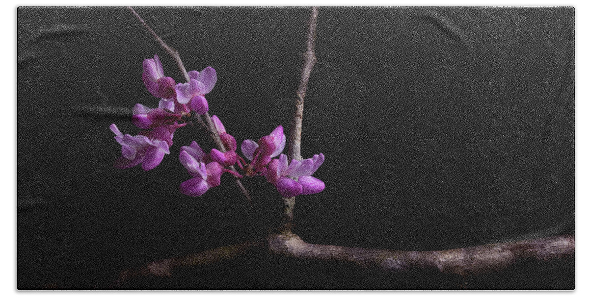 Redbud Bath Towel featuring the photograph Spring Time Redbud 2 by Mike Eingle