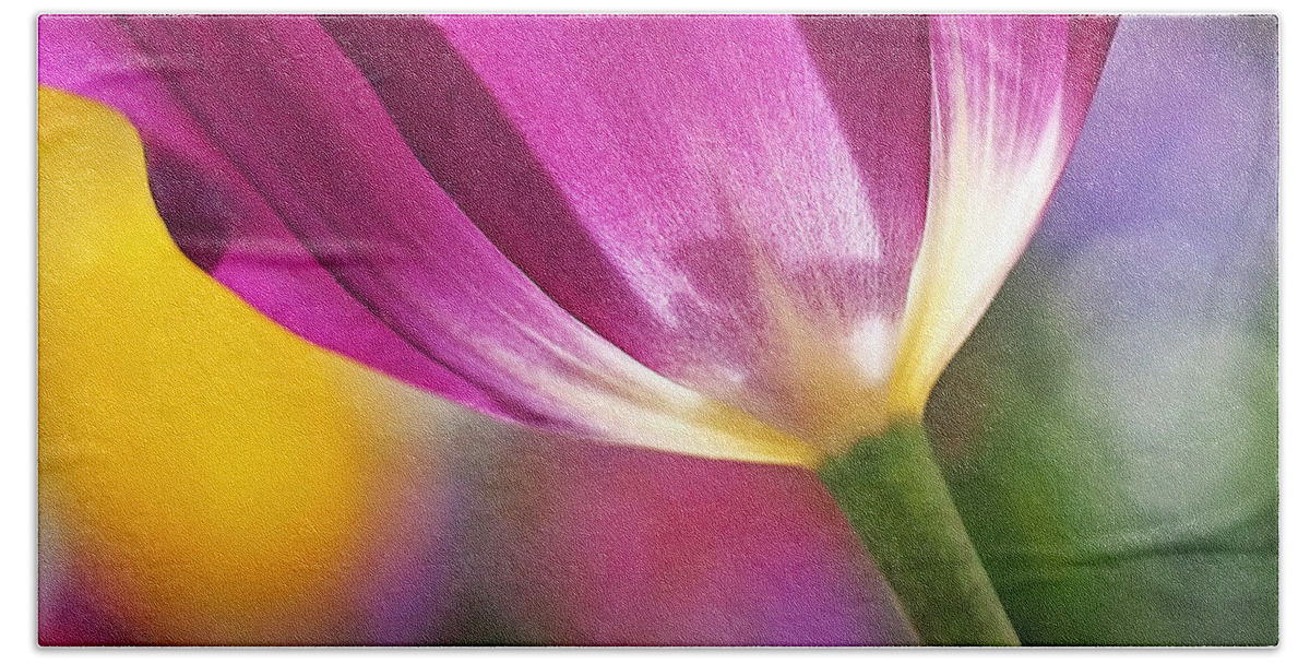 Flower Bath Towel featuring the photograph Spring Tulip by Rona Black