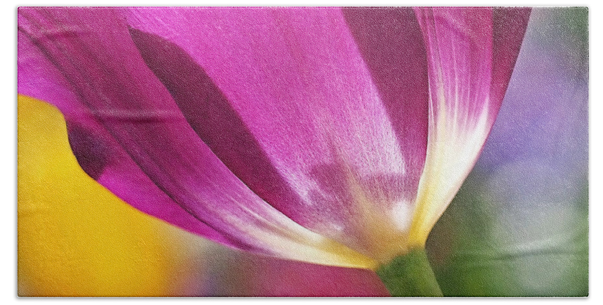Tulip Bath Towel featuring the photograph Spring Tulip - Square by Rona Black