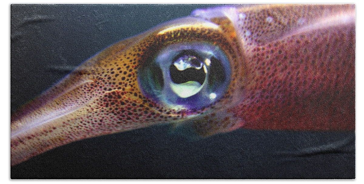 Waikiki Aquarium Hand Towel featuring the photograph Squid Eye by Jennifer Bright Burr