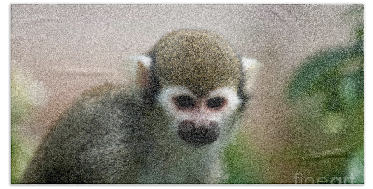 Cute Hand Towel featuring the photograph Squirrel Monkey by Amanda Elwell