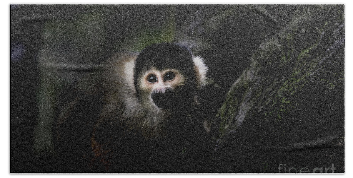 Squirrel Monkey Bath Sheet featuring the photograph Squirrel monkey by Sheila Smart Fine Art Photography