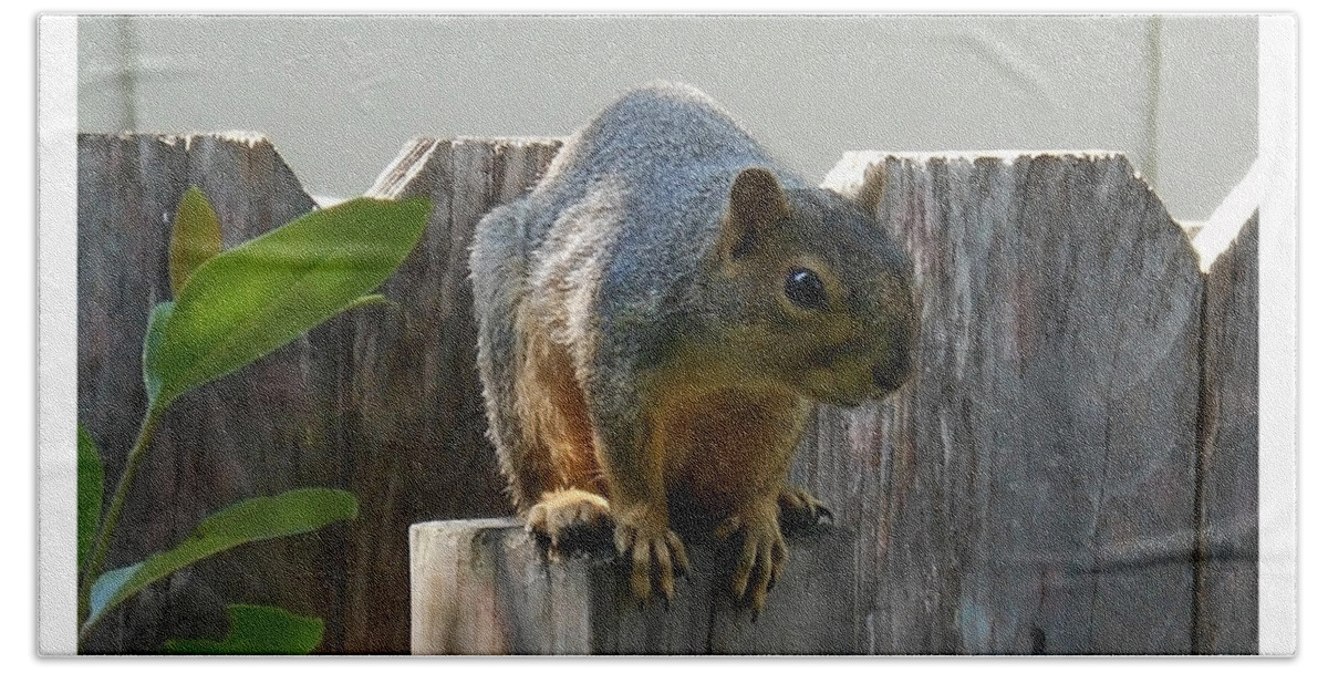 Small Squirrel Bath Towel featuring the photograph Squirrel on Post by Felipe Adan Lerma
