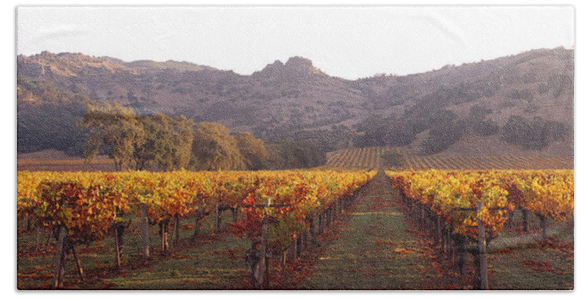 Photography Hand Towel featuring the photograph Stags Leap Wine Cellars Napa by Panoramic Images