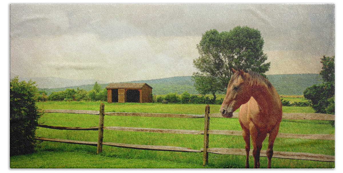 Landscape Bath Towel featuring the photograph Stallion at Fence by Diana Angstadt
