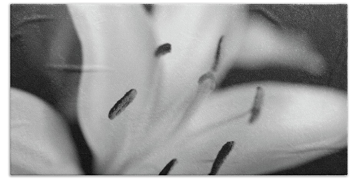 Stamens Monochrome Flower Hand Towel featuring the photograph Stamens by Ian Sanders