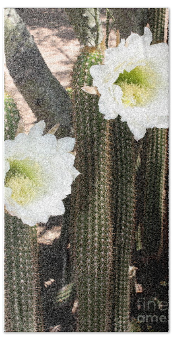Arizona Bath Towel featuring the photograph Stand Tall Desert Flowers by Carol Groenen