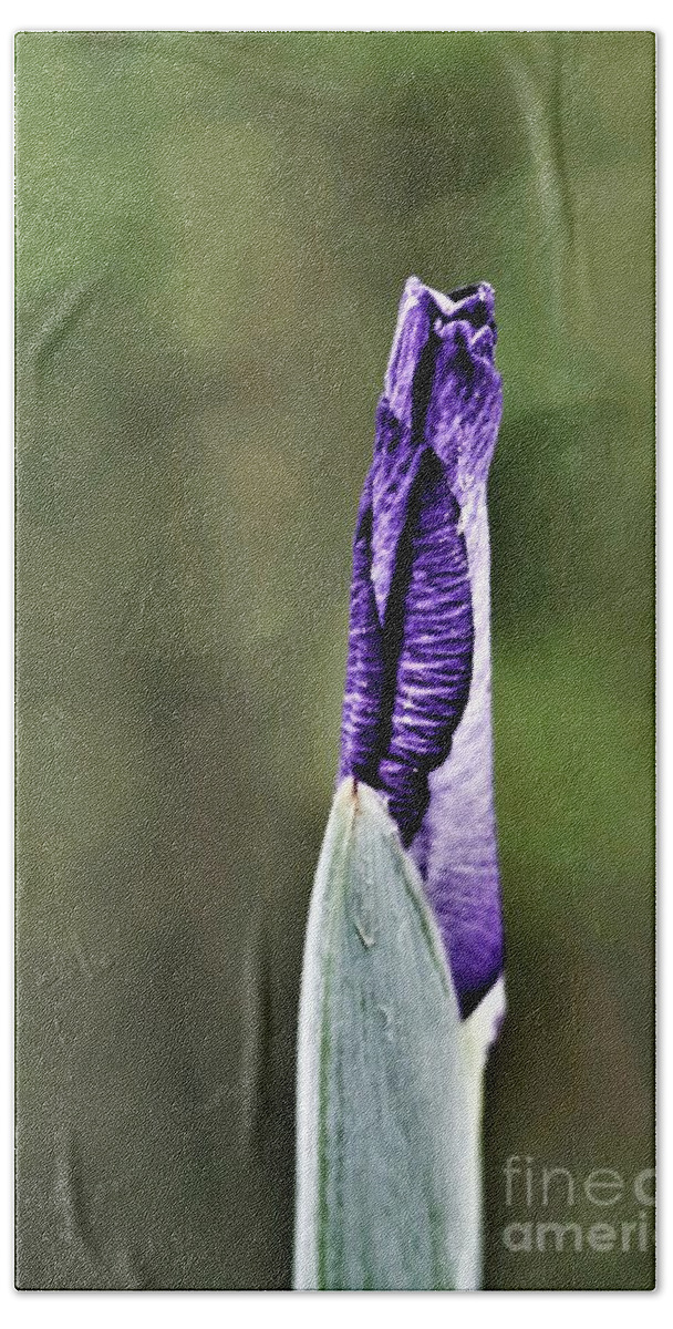 Bud Hand Towel featuring the photograph Stand Tall by Tracey Lee Cassin