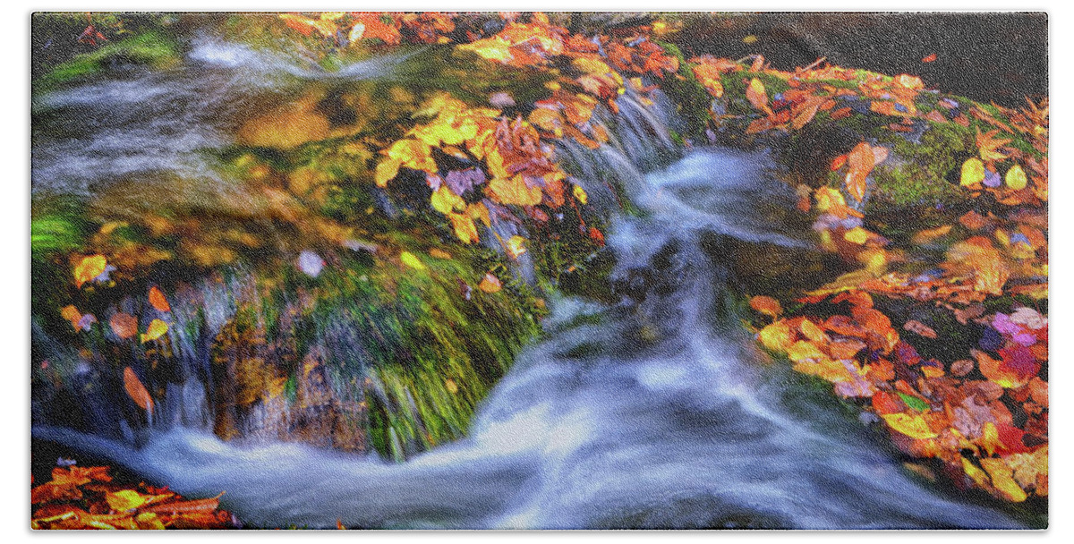 Waterfall Bath Towel featuring the photograph Standing In Motion - Leaves On A Rock 007 by George Bostian