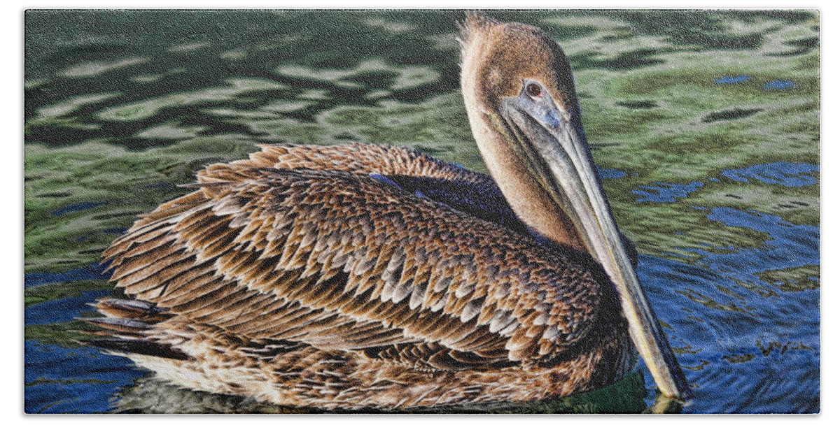 Brown Pelican Bath Towel featuring the photograph Staying Afloat - Brown Pelican Swimming by HH Photography of Florida