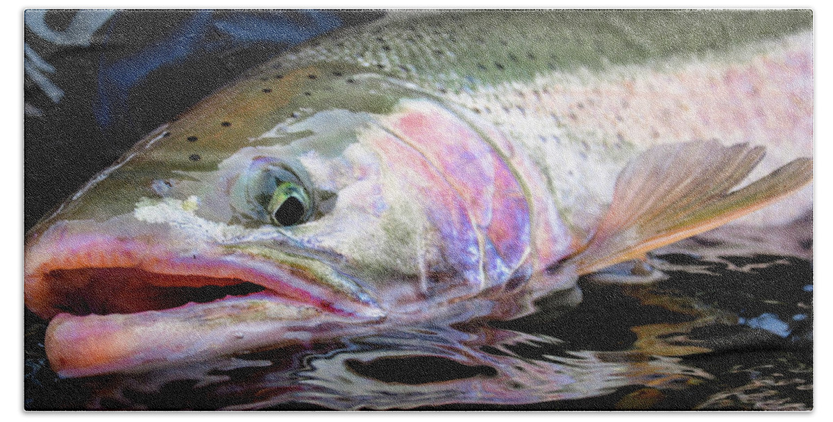 Fishing Hand Towel featuring the photograph Steelhead 3 by Jason Brooks