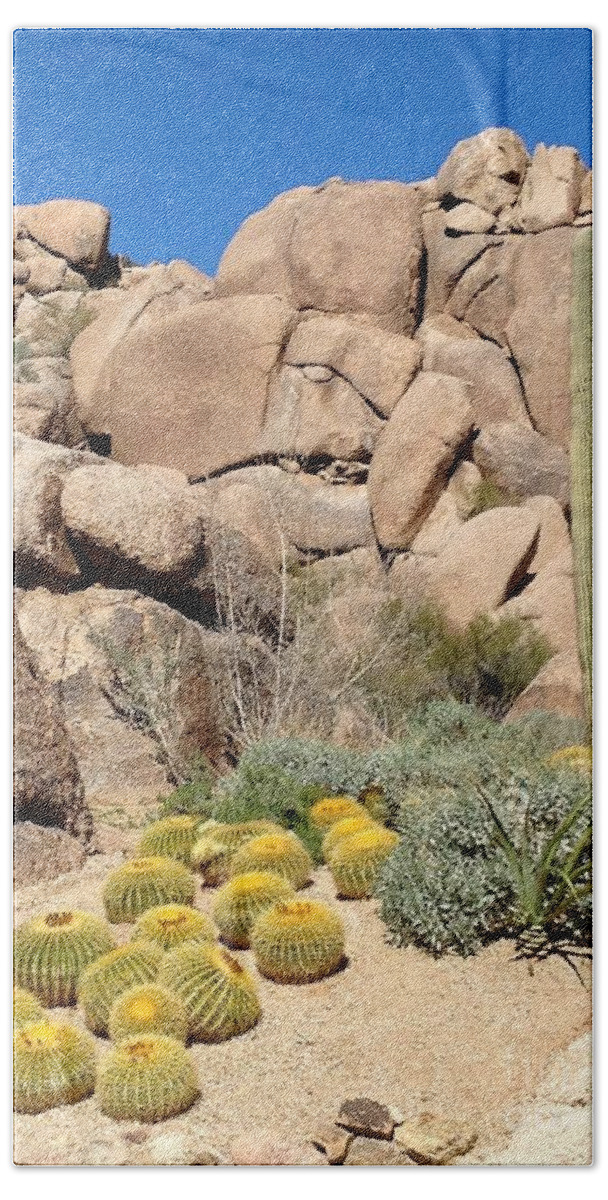 Desert Bath Towel featuring the photograph Still Life in Desert by Glenda Zuckerman