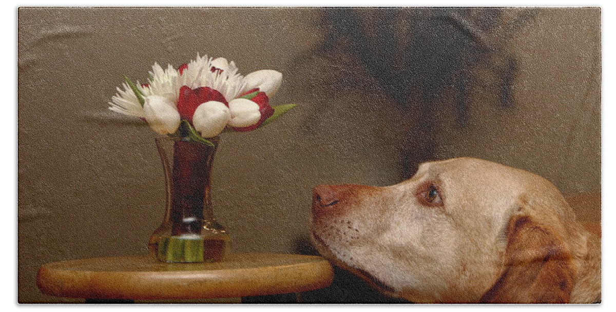 Dog Hand Towel featuring the photograph Stop And Smell The Roses by David Andersen