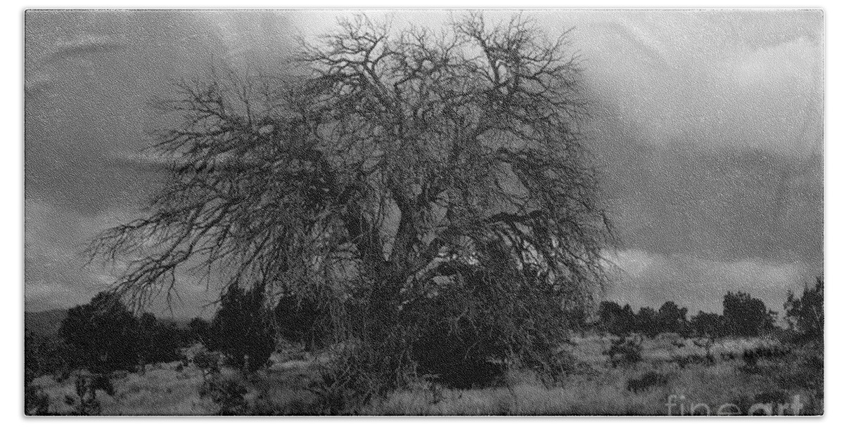 Storm Bath Sheet featuring the photograph Storm Tree by David Lee Thompson