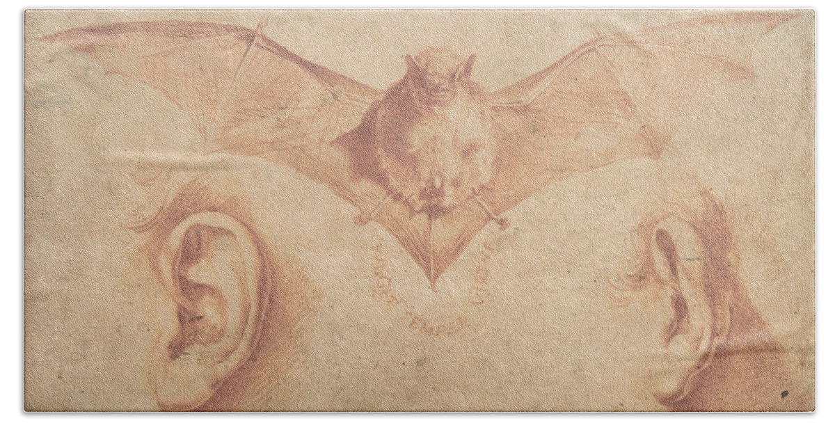 17th Century Art Bath Towel featuring the drawing Studies of Two Ears and of a Bat by Jusepe de Ribera