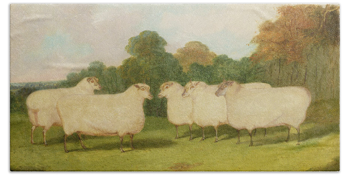 Study Bath Towel featuring the painting Study of Sheep in a Landscape  by Richard Whitford