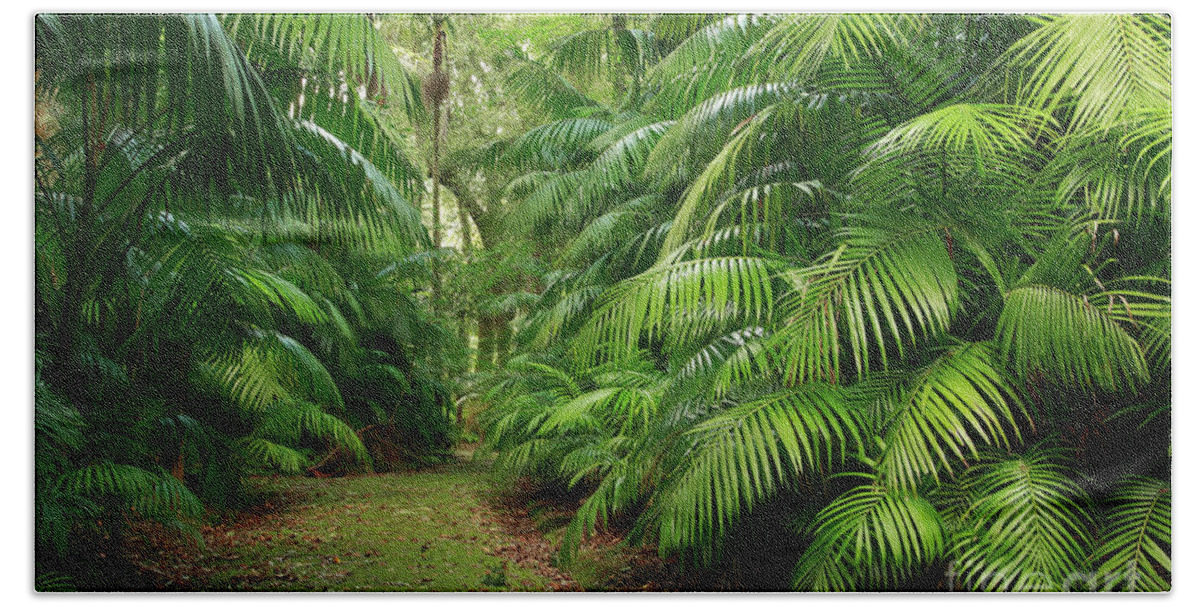 Green Bath Sheet featuring the photograph Subtropical vegetation by Gaspar Avila