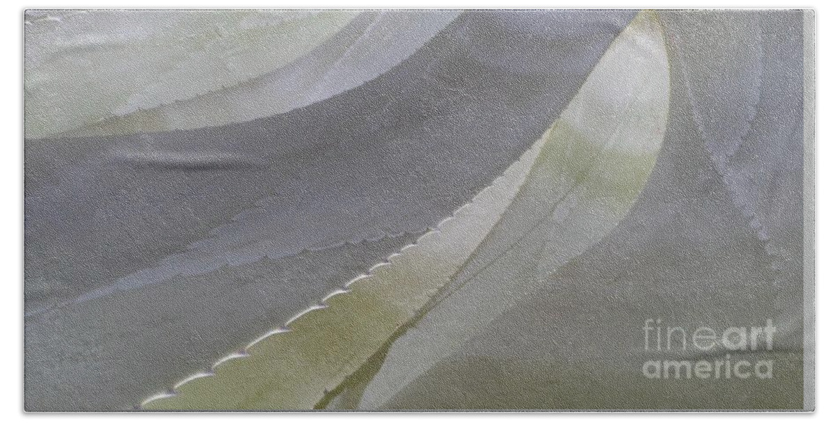 Cool Color Shape Flowing Succulent Bath Towel featuring the photograph Succulent Series 1-1 by J Doyne Miller