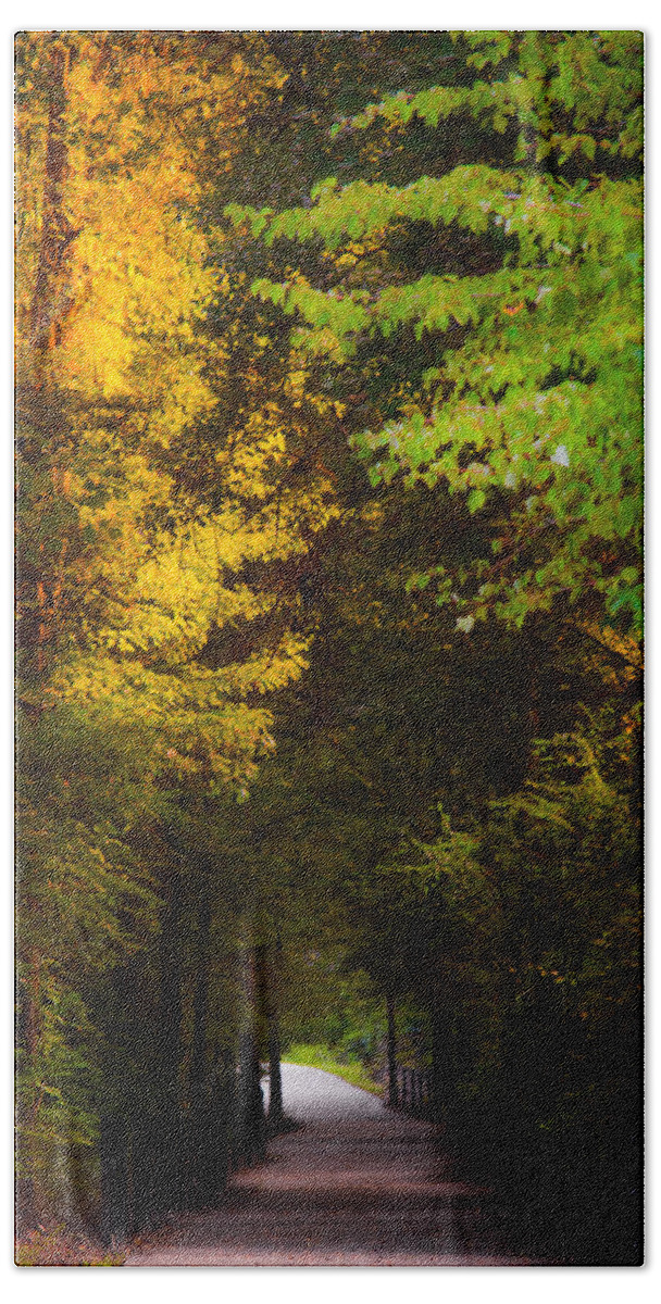 Path Bath Towel featuring the photograph Summer and Fall Collide by Parker Cunningham