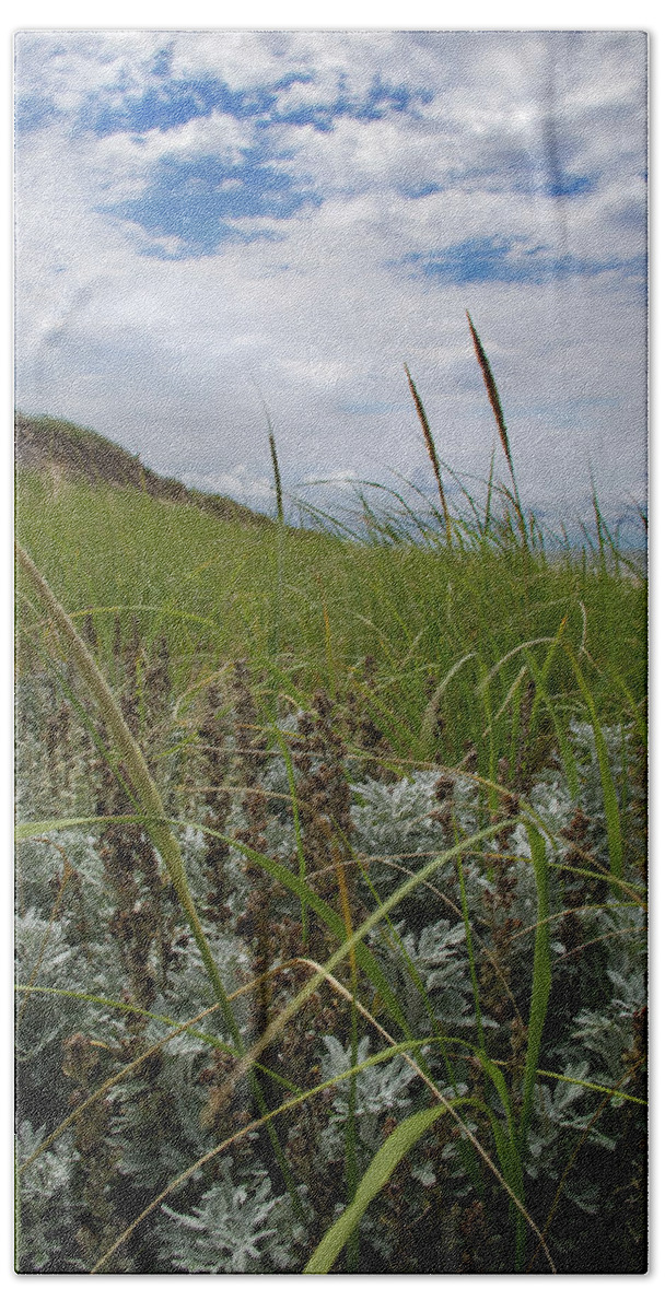 Landscape Hand Towel featuring the photograph Summer Dreaming by Michael Friedman