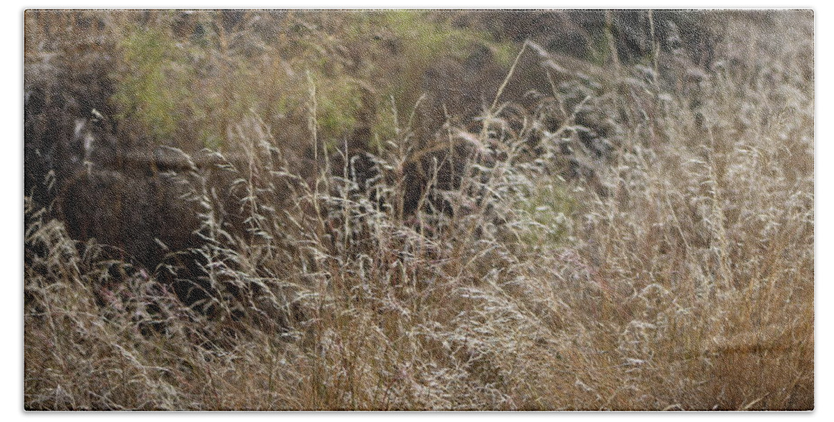 Honey Brown Grass Bath Towel featuring the photograph Summer Grasses by Colleen Cornelius