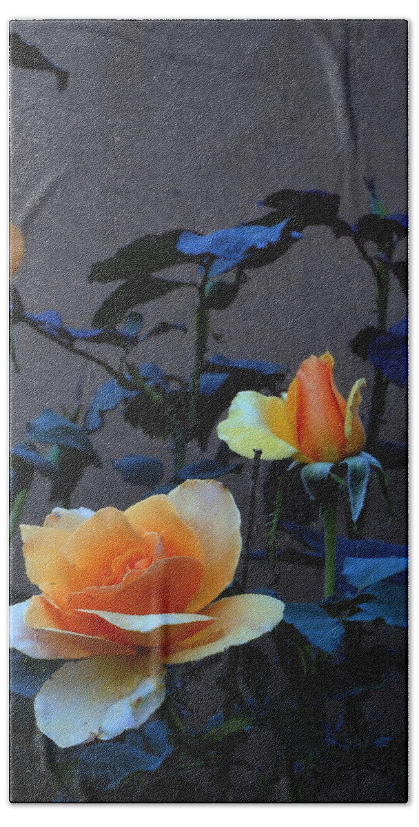 Landscape Bath Towel featuring the photograph Summer Morning Golden Rose by Richard Thomas