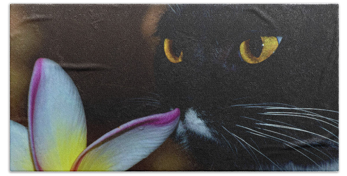 Photograph Hand Towel featuring the photograph Summer Sniffing Plumaria by Larah McElroy