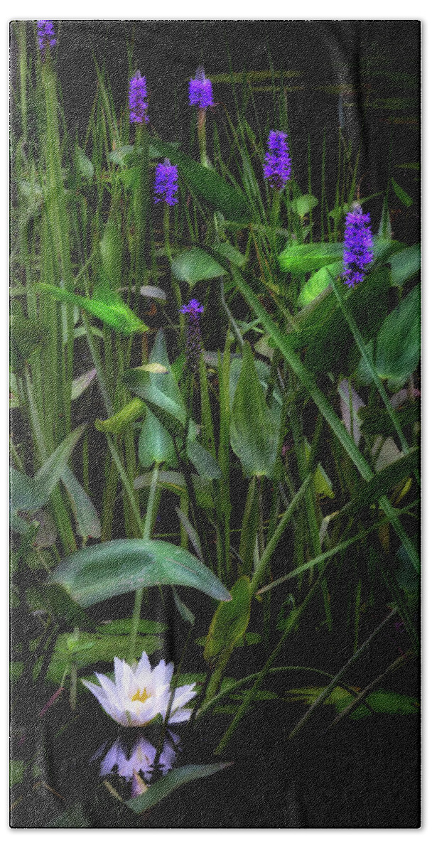Water Lily Bath Towel featuring the photograph Summer Swamp 2017 by Bill Wakeley