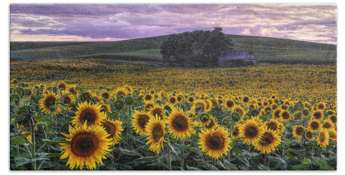 Sunflowers Hand Towel featuring the photograph Summertime Sunflowers by Mark Kiver