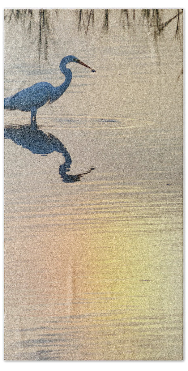 Kansas Bath Towel featuring the photograph Sun Dog and Great Egret 2 by Rob Graham