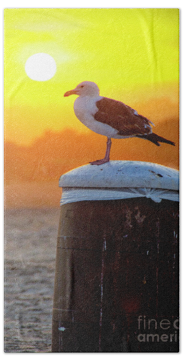 Seagull Bath Towel featuring the photograph Sun Gull by Ken Johnson