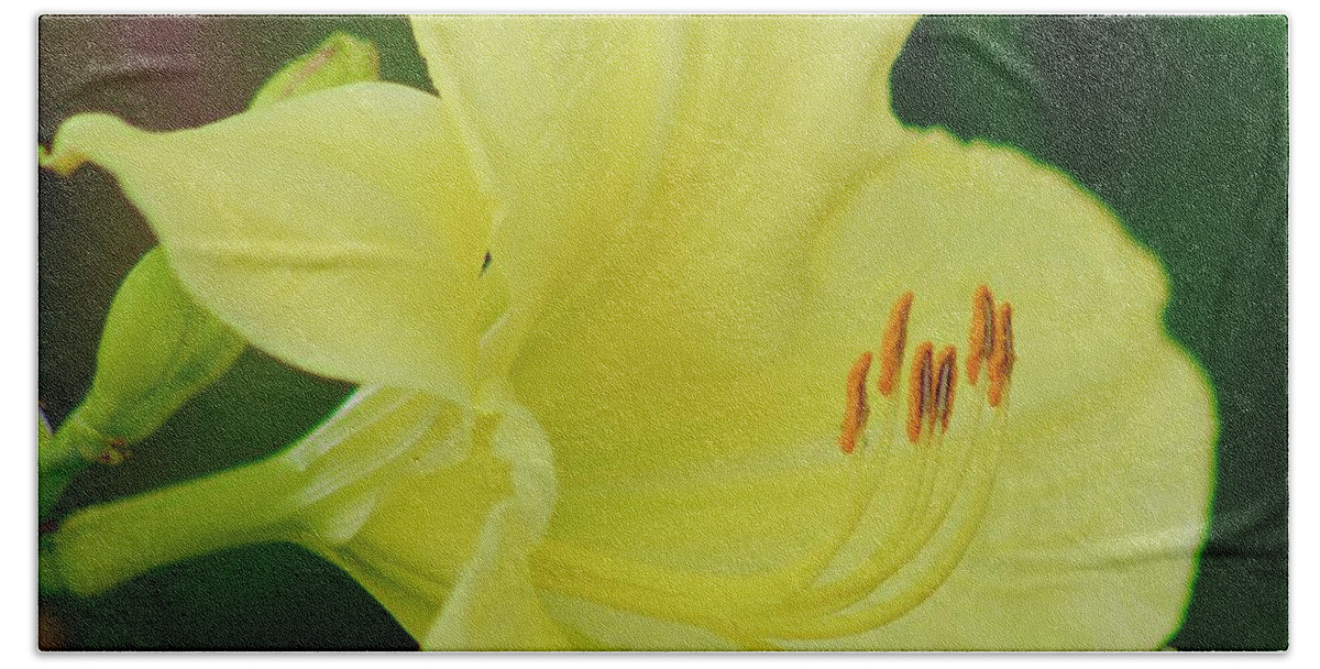 Photograph Hand Towel featuring the photograph Sun Licking Yellow Day Lily by M E