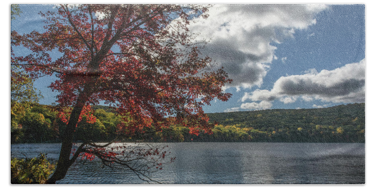 Autumn Bath Towel featuring the photograph Sunburst Tree At Silvermine Lake by Angelo Marcialis