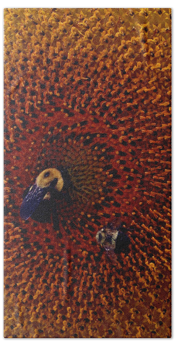 Insect Bath Sheet featuring the photograph Sunflower and Bees by Jennifer Robin