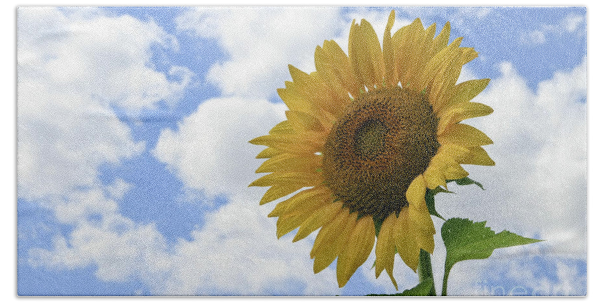 Flower Bath Towel featuring the photograph Sunflower and Clouds by Teresa Zieba