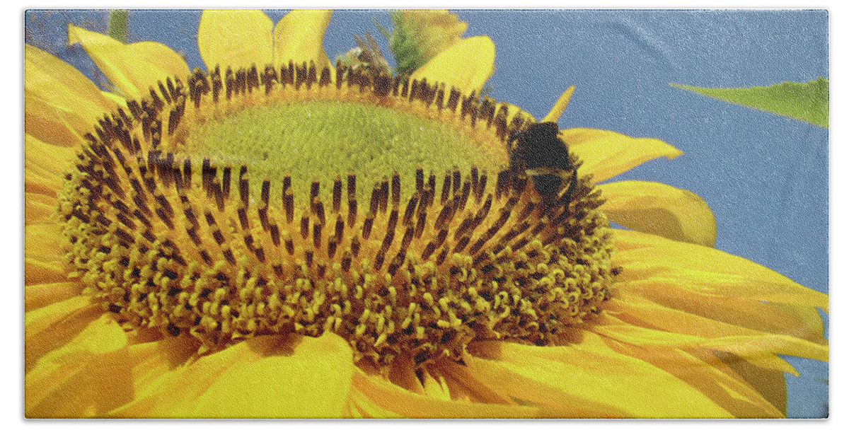 Sunflower Bath Towel featuring the photograph SUNFLOWER Art Prints Honey Bee Sun Flower Floral Garden by Patti Baslee
