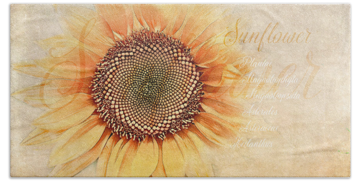 Sunflower Hand Towel featuring the digital art Sunflower Classification by Terry Davis