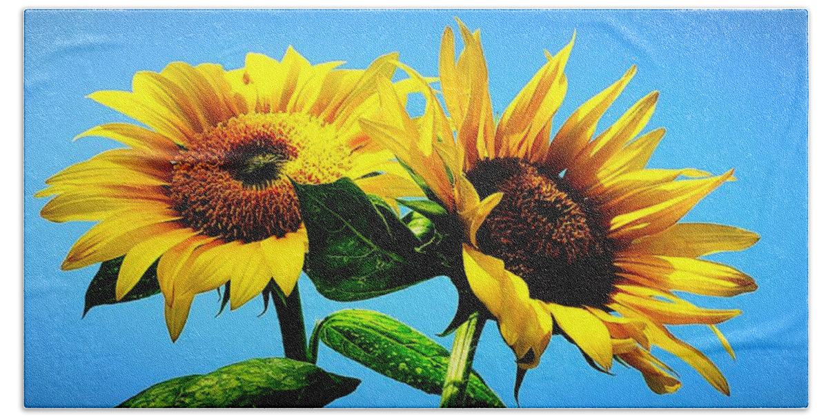Floral Bath Towel featuring the photograph Sunflower Duo by Alexis King-Glandon