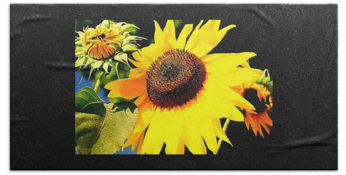  Bath Towel featuring the photograph Sunflower by FD Graham