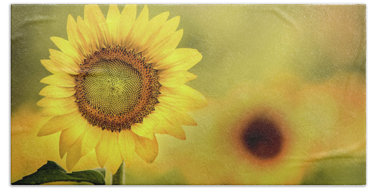Flower Bath Towel featuring the photograph Sunflower in a Field by Don Johnson