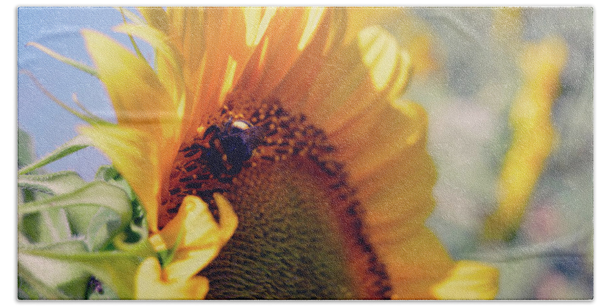 Sunflower Hand Towel featuring the photograph Sunflower In A Field by Viv Kanharn