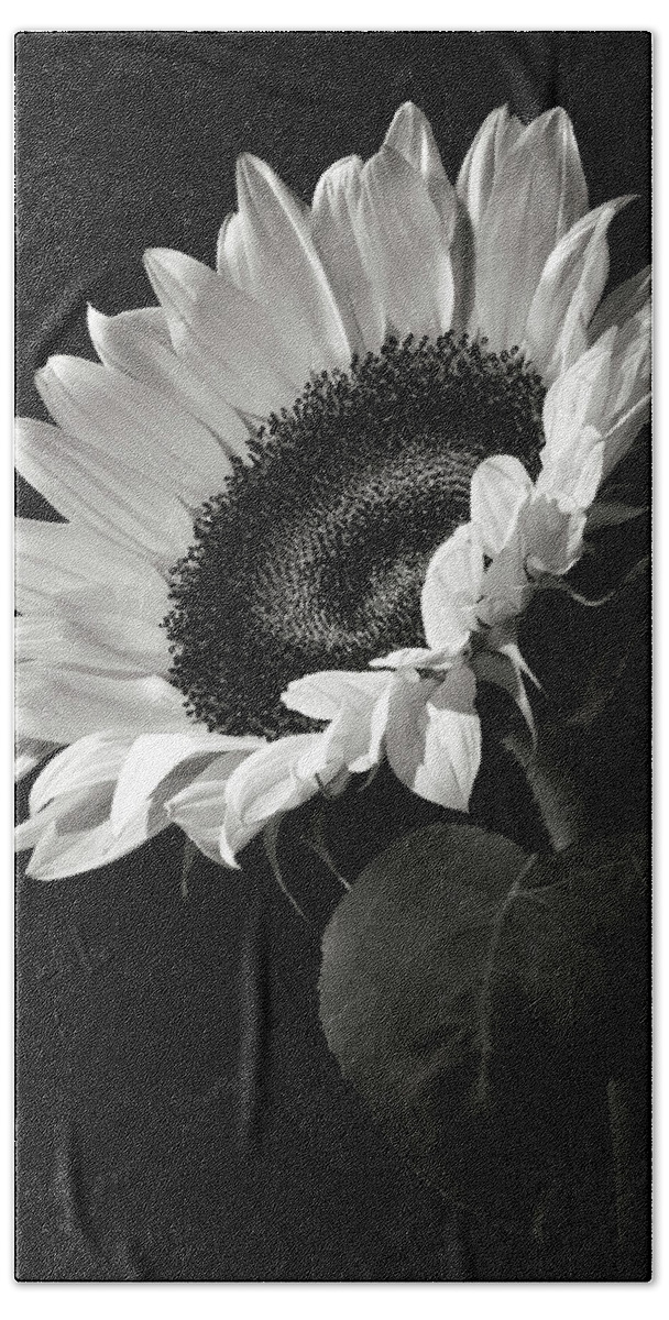 Flower Hand Towel featuring the photograph Sunflower in Black and White by Endre Balogh