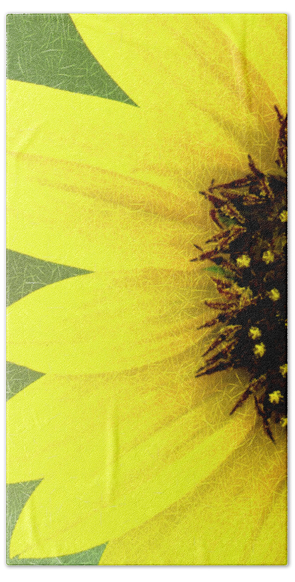 Sunflower Bath Towel featuring the photograph Sunflower by Joe Paul