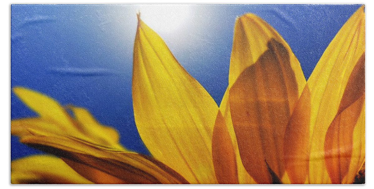Sunflower Hand Towel featuring the photograph Sunflower Macro by Alexis King-Glandon