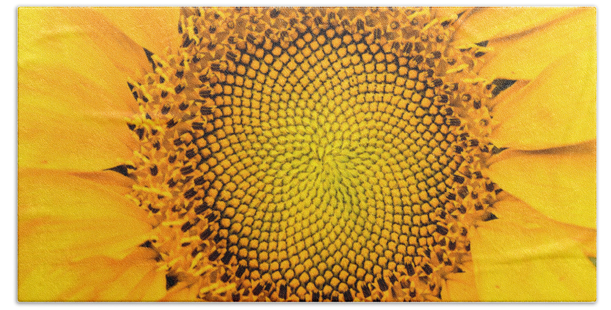 Sunrise Bath Towel featuring the photograph Sunflower Mandala by Mindy Musick King