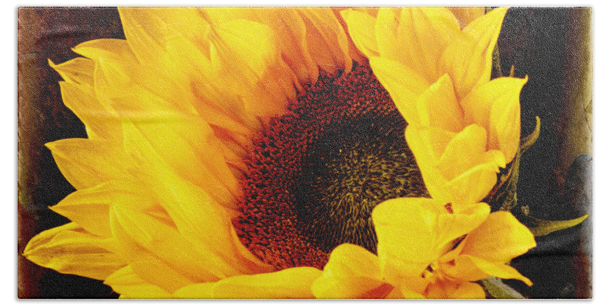 Sunflower Bath Towel featuring the photograph Sunflower on painted background. by John Paul Cullen