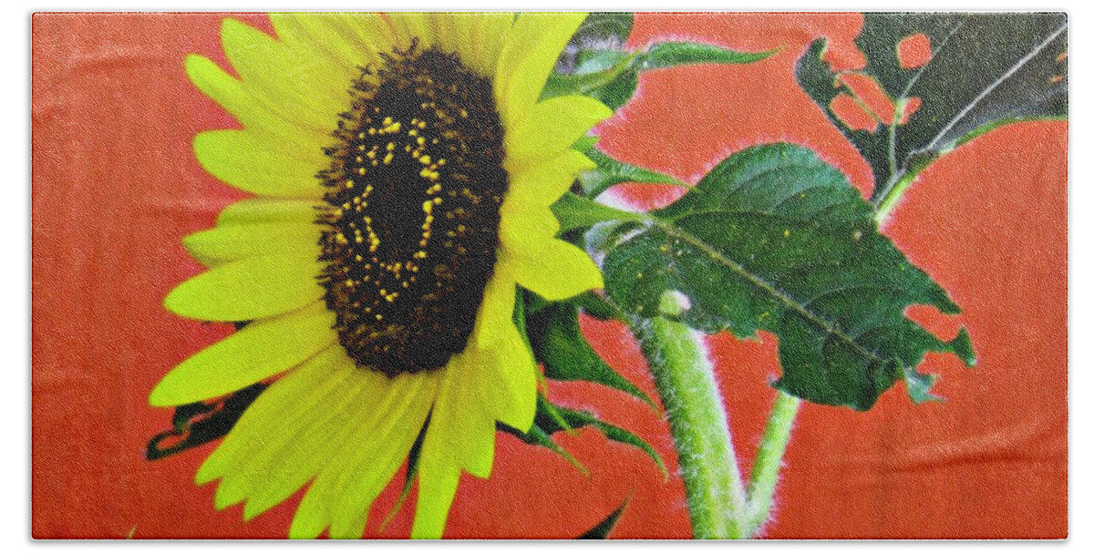 Sunflower Hand Towel featuring the photograph Sunflower on Red 2 by Sarah Loft